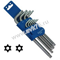 BOVIDIX 5980409 ����� ������ TORX TAMPER